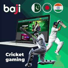 Baji Online Gambling Enterprise
